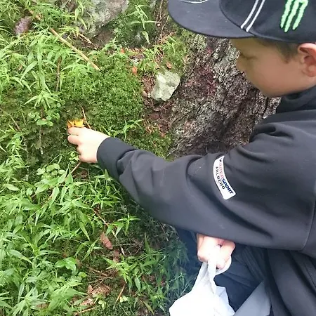 فندق مبيت وإفطار Haus Morgensonne 4*